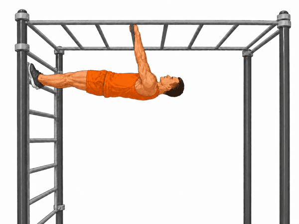 Australian Pull-Up (Parallel) – Phase 1