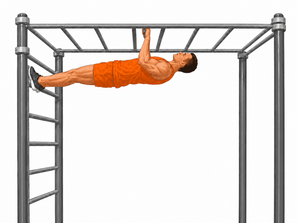 Australian Pull-Up (Parallel) – Phase 2