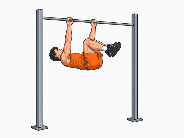 Front Lever (Tuck) – Phase 1