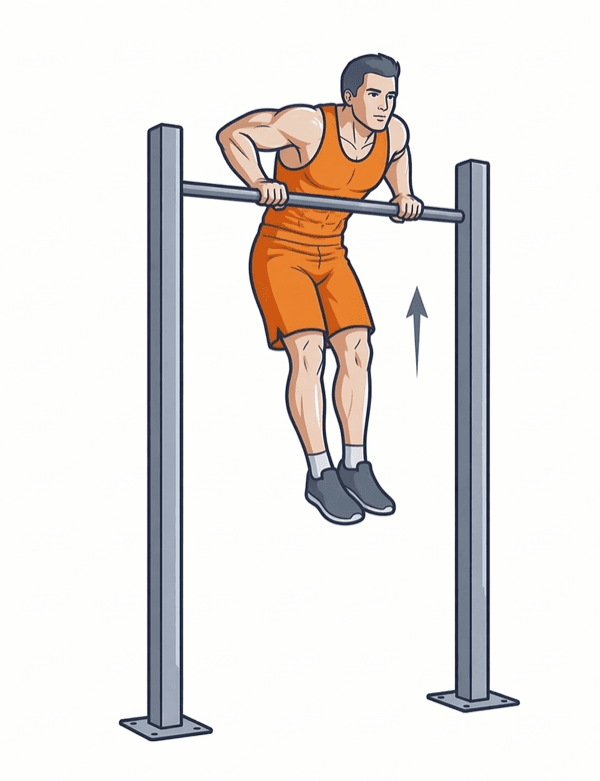 Muscle Up – Phase 2