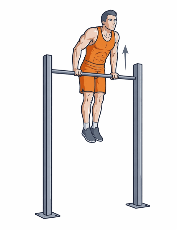 Muscle Up (Negative) – Phase 1