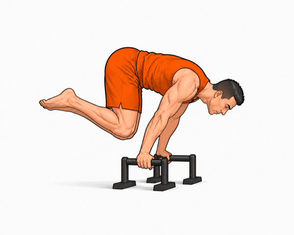 Planche (Tuck) – Phase 1